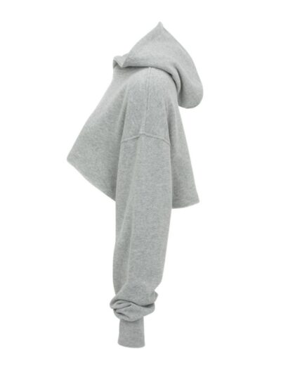 Ap crop hoodie Gray